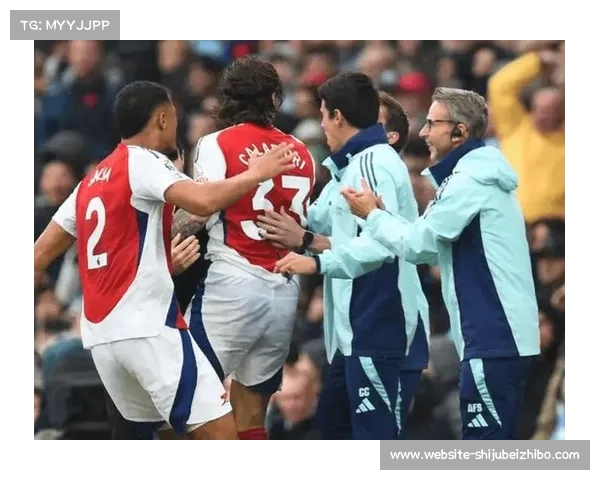 曼城再向英超发起诉讼指控阿森纳股东贷款获利不公 曼城再向英超发起诉讼指控阿森纳股东贷款获利不公